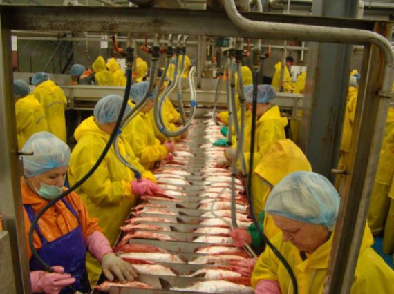 ВТБ финансирует модернизацию рыбоперерабатывающего завода на Камчатке