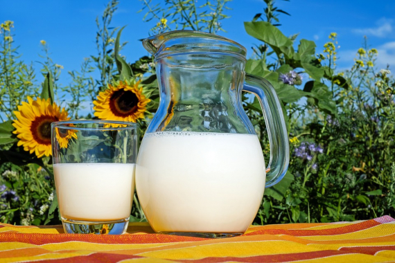 ВТБ профинансировал модернизацию молочного производства в Камчатском крае