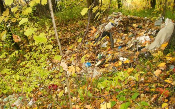 В Хабаровском районе потратили свыше двух млн рублей на уничтожение свалок и озеленение территорий
