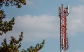 Связь для Виноградовки: МегаФон запустил 4G в селе на берегу Уссури