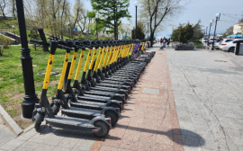 В мае спрос на аренду электросамокатов вырос на четверть