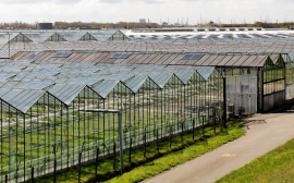 Бельгия хочет построить тепличный комплекс в Хабаровске