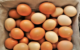 В Хабаровском крае производители яиц получили в виде поддержки 114,1 млн рублей