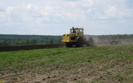 Аграрии посеяли в Хабаровском крае 60 % ранних зерновых