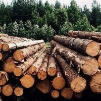 Глава Хабаровского региона раскритиковал отчеты лесозаготовительных предприятий