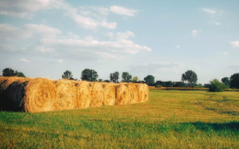 В Хабаровском крае реорганизуют региональный сельскохозяйственный фонд