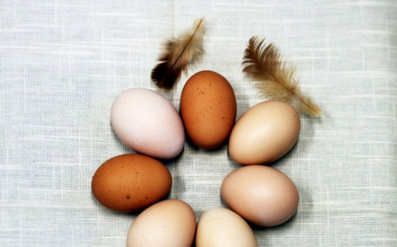 В Хабаровском крае обещали сдержать цены на яйца перед Пасхой
