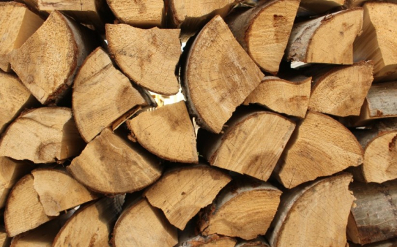 Японские инвесторы заинтересовались деревообработкой в Хабаровском крае