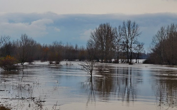 В Хабаровском крае на помощь пострадавшим от паводка выделят 64,1 млн рублей
