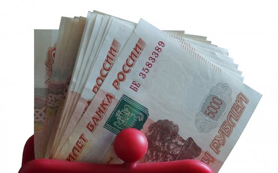 В Хабаровске 57% бюджета потратят на зарплаты