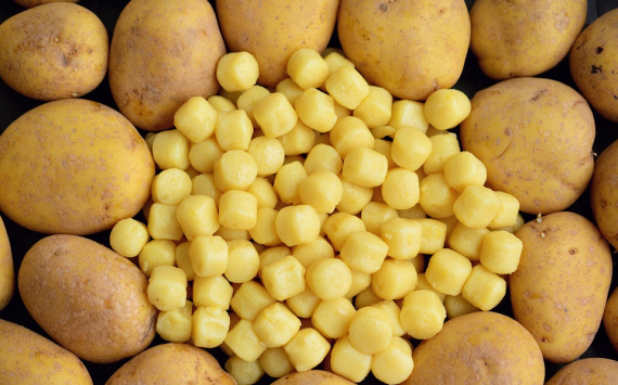 В Хабаровском крае собрали 14,3 тыс. тонн картофеля